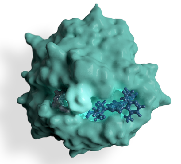 Targeting the Toughest Signaling Pathway in Cancer