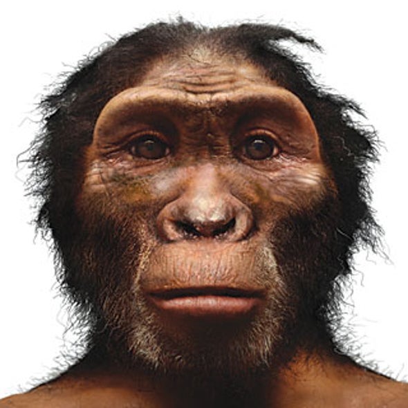 The Human Pedigree: A Timeline of Hominid Evolution