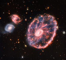 The Webb Telescope Captures a Stunning View of the Cartwheel Galaxy