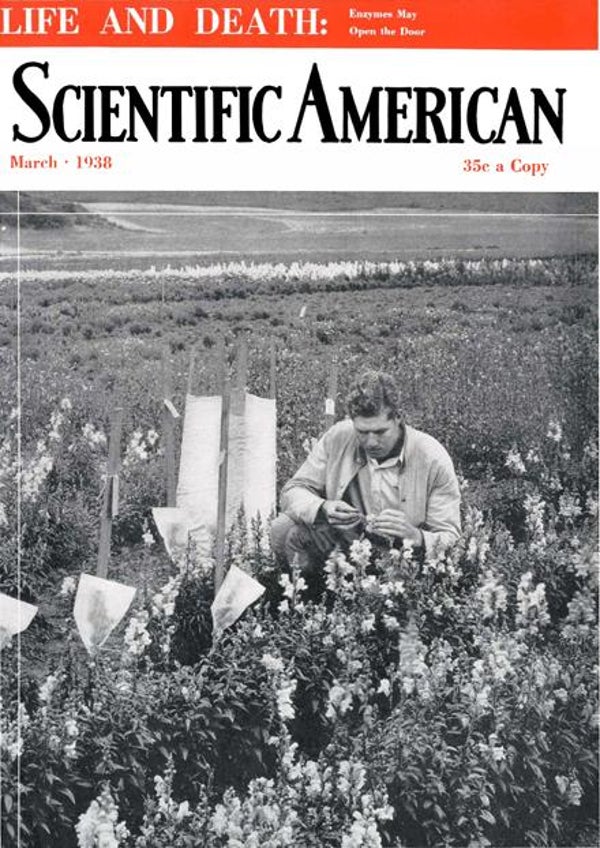 Scientific American Magazine Vol 158 Issue 3