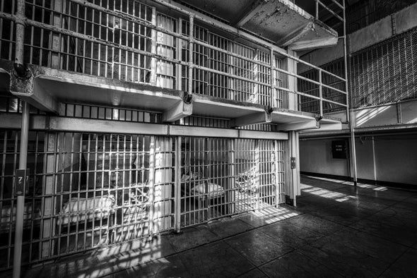 Do Prisons Make Us Safer?