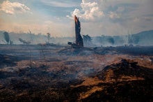 Wildfires Could Transform Amazon from Carbon Sink to Source