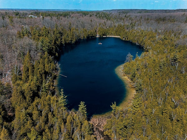 Aerial view of a lake surrounded by trees.