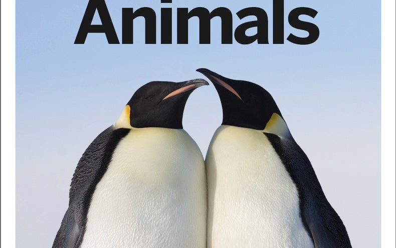Amazing Animals - Scientific American