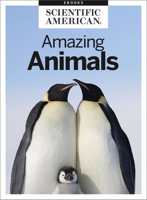 Amazing Animals - Scientific American