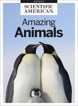 Amazing Animals - Scientific American Amazing Animals - Scientific American