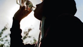 How Alcohol Ravages the Teen Brain