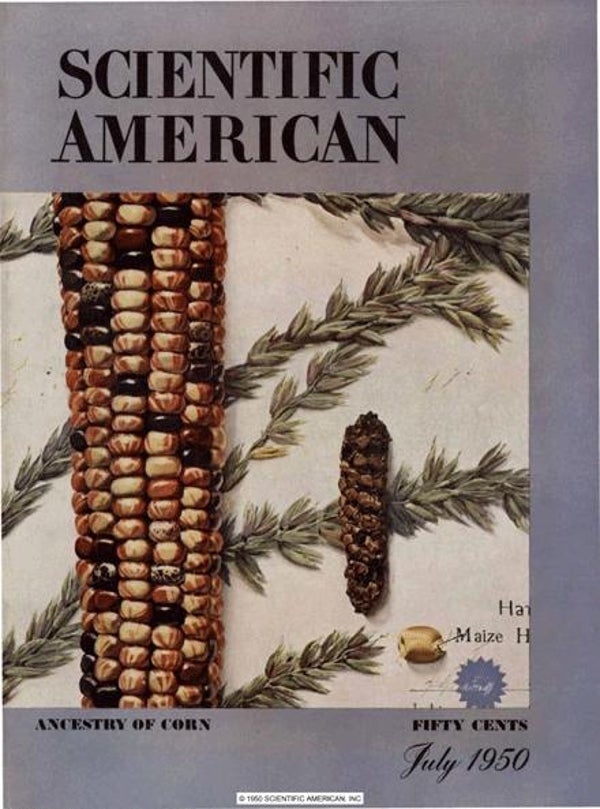 Scientific American Magazine Vol 183 Issue 1