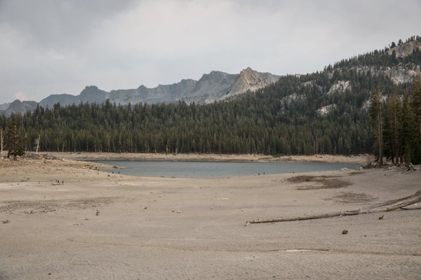 Dried up alpine lake bed.