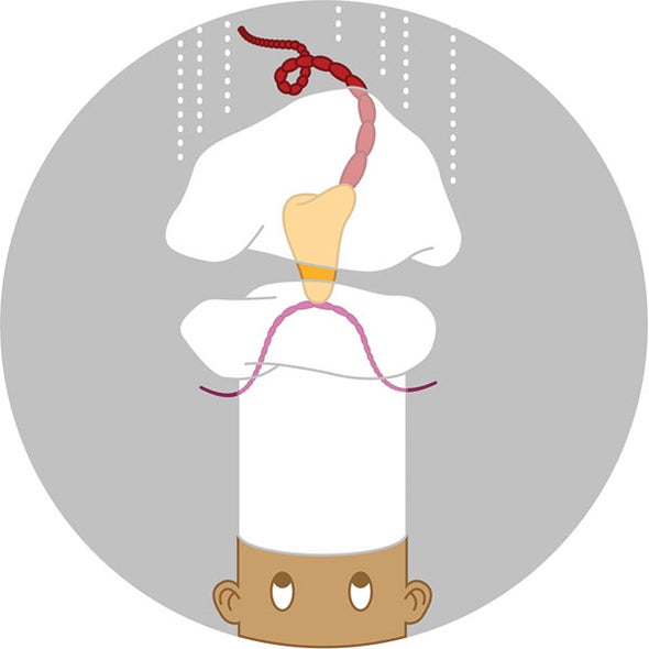 A New Cook Arrives in Life&apos;s Kitchen