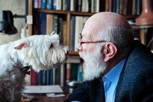 Dogs Can Distinguish Speech from Gibberish--and Tell Spanish from Hungarian