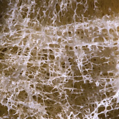 What Is It? Fraying Matter