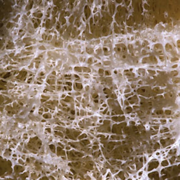 What Is It? Fraying Matter
