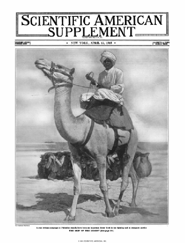 SA Supplements Vol 85 Issue 2206supp
