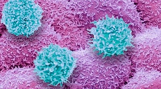 Retooling T Cell Therapies to Target Solid Tumors
