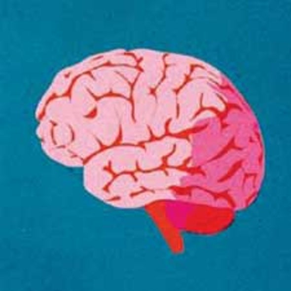 How the Brain Reveals Why We Buy