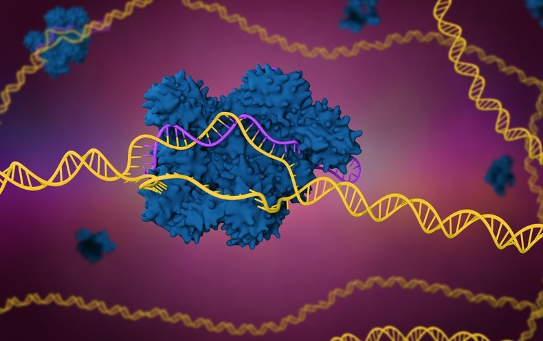 In First, Scientists Use CRISPR for Personalized Cancer Treatment