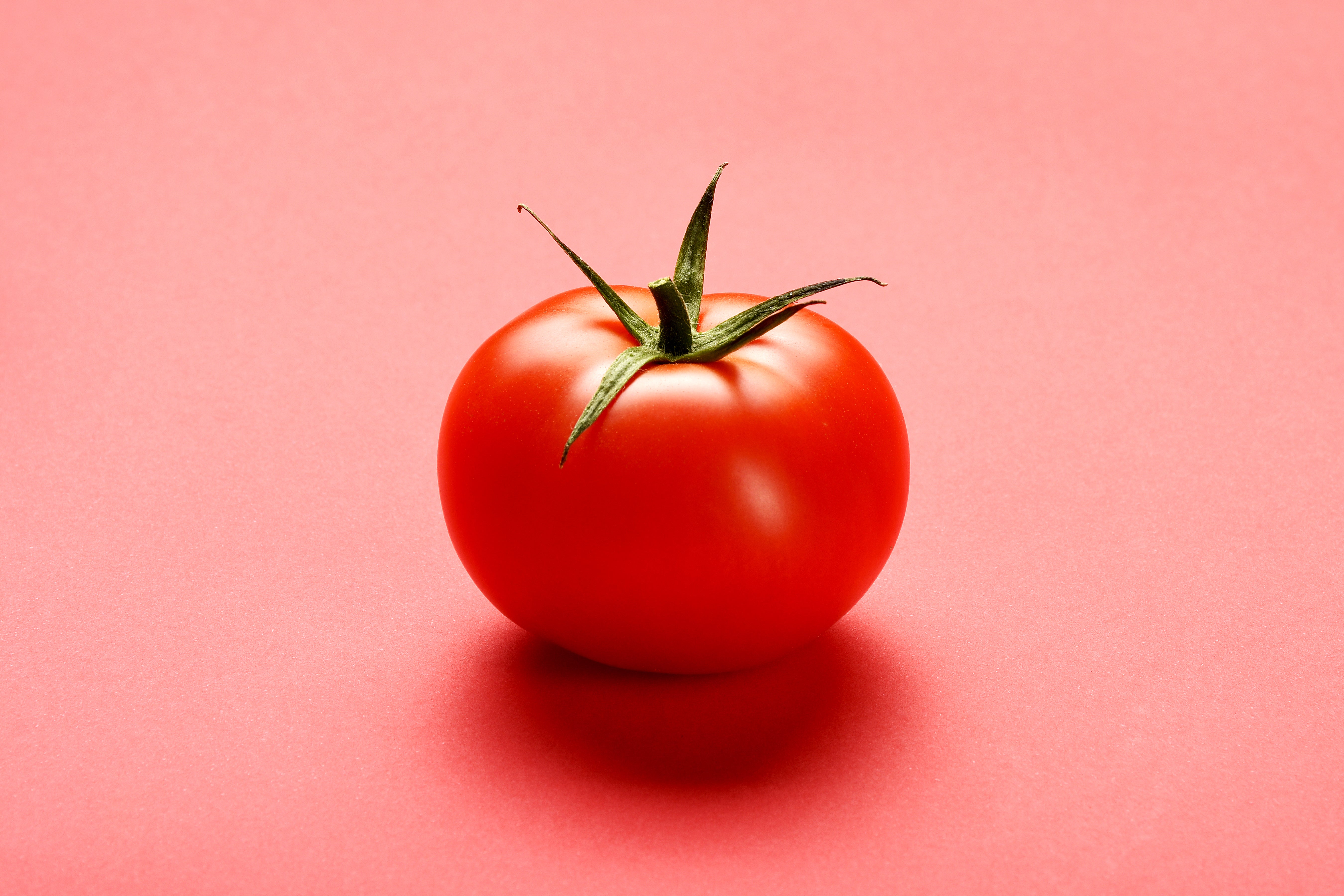 CRISPR-Edited Tomatoes Are Supposed to Help You Chill Out