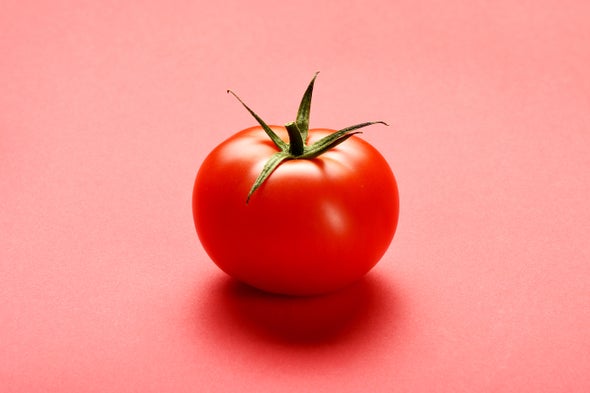 CRISPR-Edited Tomatoes Are Supposed to Help You Chill Out