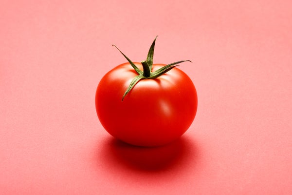 A red tomato on a pink background.