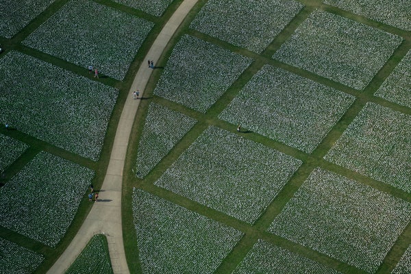 An aerial view of a COVID memorial, showing thousands of small white flags.
