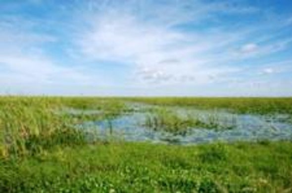 Interior Secretary Outlines How to Use North American Continent to Combat Climate Change
