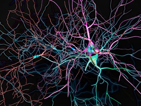 Colorful neural brain network on black background.