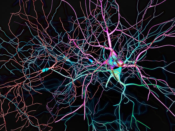 Colorful neural brain network on black background.