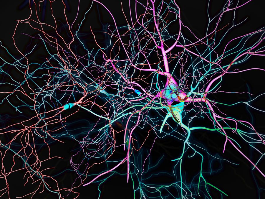 This Is The Largest Map of The Human Brain Ever Made | Scientific American