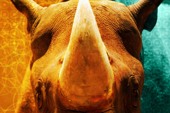 Rhinos and Their Gamekeepers Benefit from AI