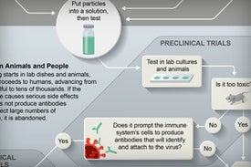 Coronavirus Vaccine Is 90 Percent Effective in Large Trial, Pfizer Says