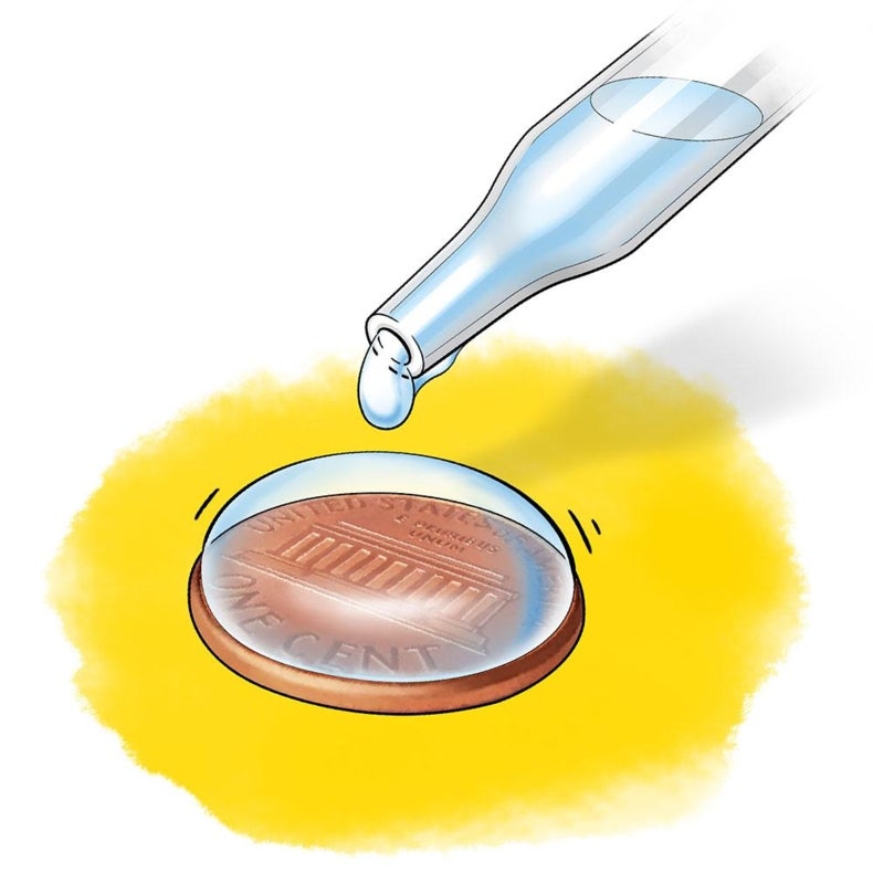 Measure Surface Tension With A Penny Scientific American 7651