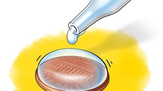 Measure Surface Tension with a Penny