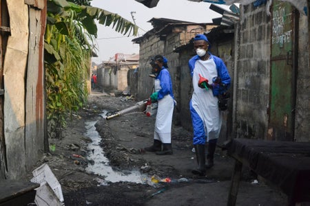 yellow fever, pandemic, vaccines
