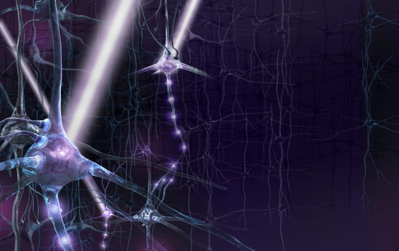 Optogenetics Controlling The Brain With Light [extended Version