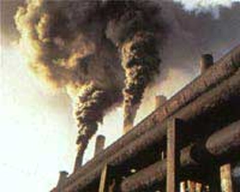 Air Pollution Induces DNA Mutations in Mice