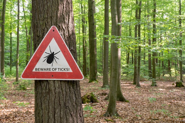 Tick warning sign on tree in forest