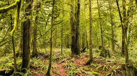 ecology research articles ecology research articles