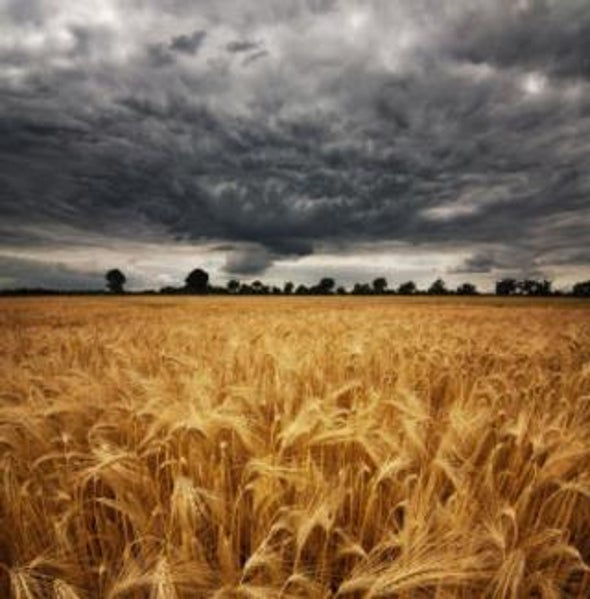 Has the Food Crisis Abated?: A Q&A with Joachim von Braun, Director General of the International Food Policy Research Institute