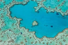 Australia's Criticisms of Proposal to List Great Barrier Reef as 'in Danger' Don't Stack Up