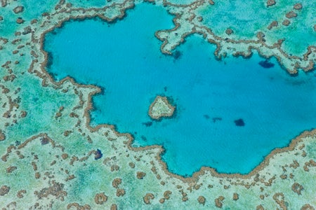 Aerial view of heart-shaped coral reef