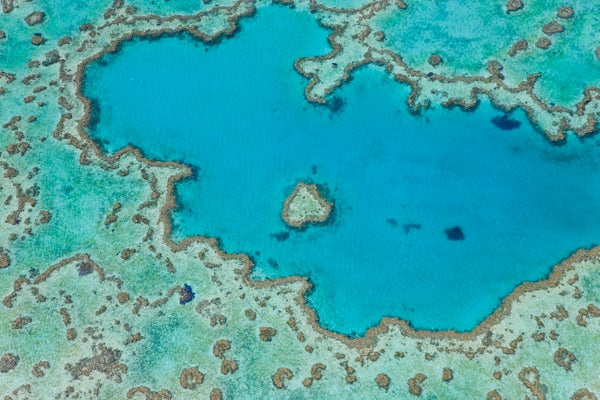 Aerial view of heart-shaped coral reef