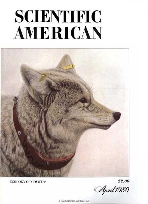 Scientific American Magazine Vol 242 Issue 4