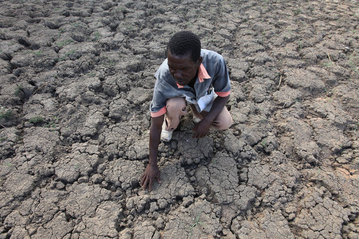 Surrounded by Diamonds, Villagers Go Hungry in Drought-Hit Zimbabwe ...