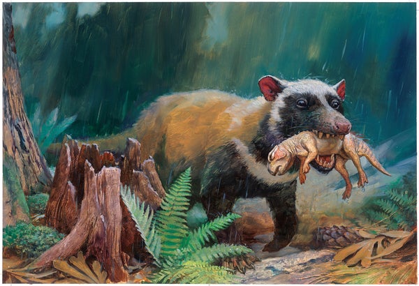 early mammal Repenomamus