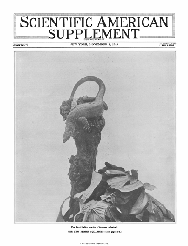 SA Supplements Vol 76 Issue 1974supp