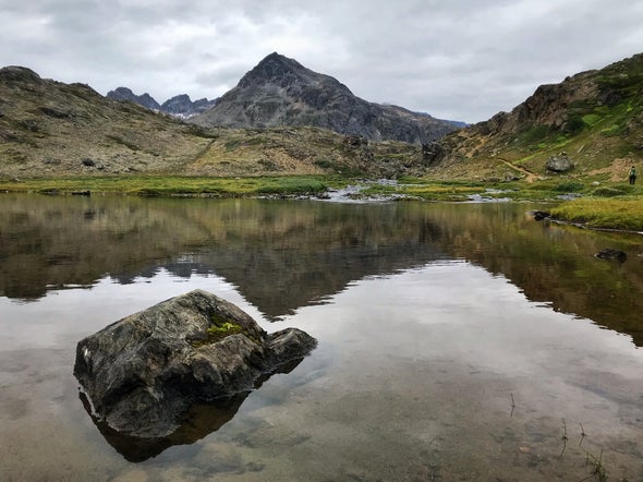 Arctic Lakes Are Vanishing by the Hundreds