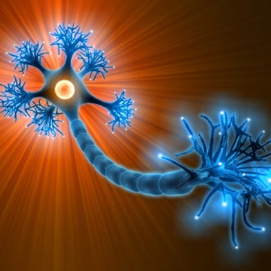 A Switch to Turn Off Autism?