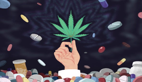 Cannabis Could Help Solve the Opioid Crisis