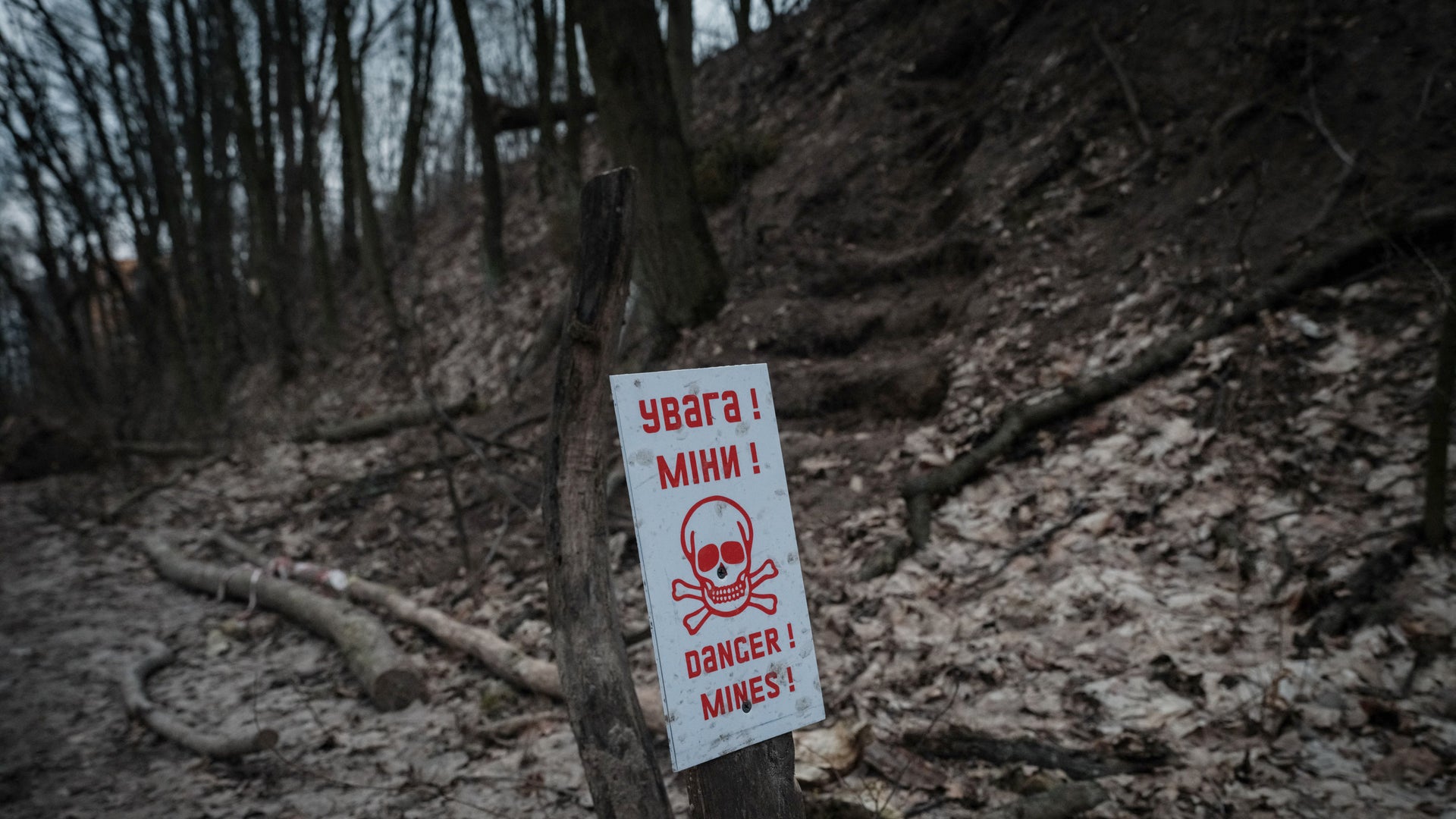 Drones and AI Could Locate Land Mines in Ukraine | Scientific American